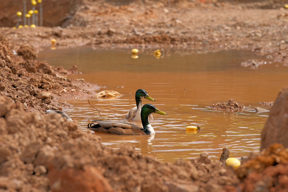 Flooded excavation