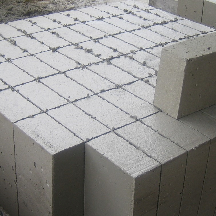 Fly Ash Clay Brick