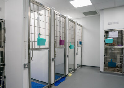 Easy access kennels for vets