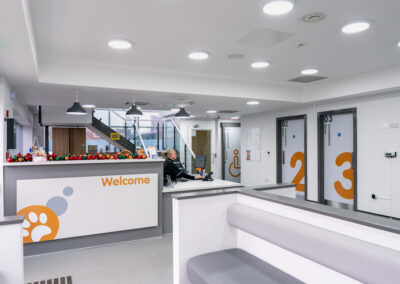 Veterinary Practice Reception Refurbishment